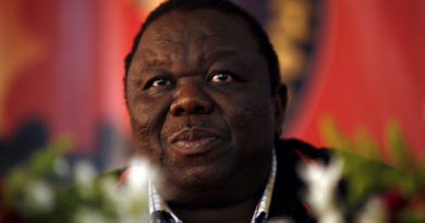 Looks from the Roswana, 2015