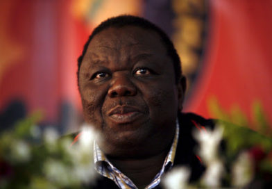 A Paradise for Holiday